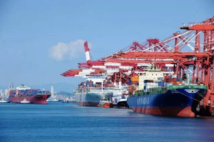 報(bào)關(guān)企業(yè) vs. 進(jìn)出口貨物收發(fā)貨人 理清角色，保障貨物高效通關(guān)